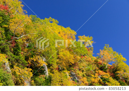 Toyama_Scenic view of Daikanbo autumn leaves Toyama_Scenic view of Daikanbo autumn leaves 83058213