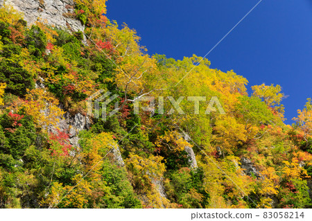 富山_大觀坊秋葉美景 83058214