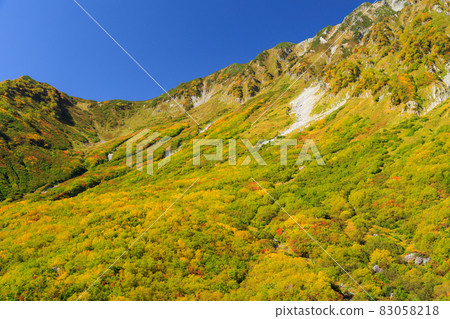 Toyama_Scenic view of Daikanbo autumn leaves Toyama_Scenic view of Daikanbo autumn leaves 83058218