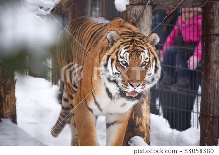 威風凜凜和環境 威風凜凜和環境 83058380