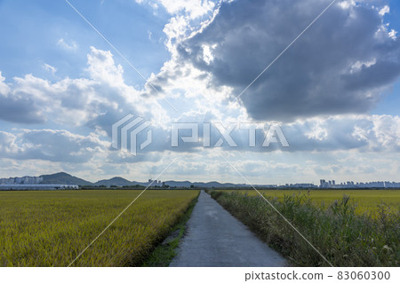 京畿道始興市厚和市 京畿道始興市厚和市 83060300