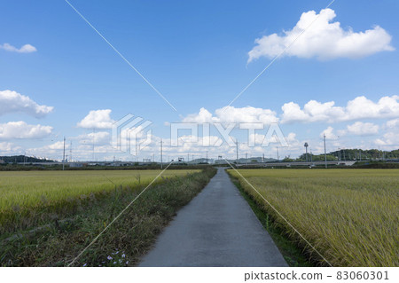 京畿道始興市厚和市 京畿道始興市厚和市 83060301