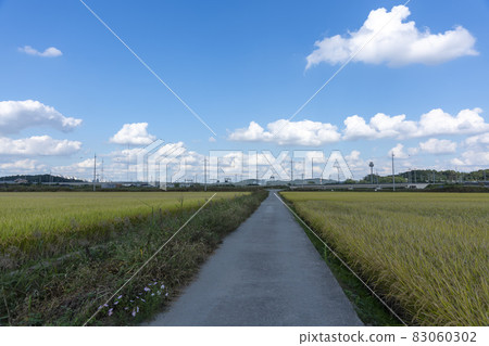 京畿道始興市厚和市 京畿道始興市厚和市 83060302