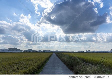 京畿道始興市厚和市 京畿道始興市厚和市 83060303