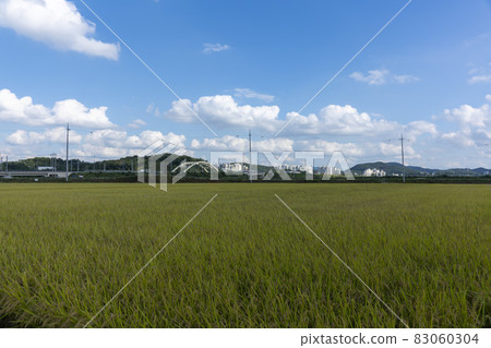 京畿道始興市厚和市 京畿道始興市厚和市 83060304