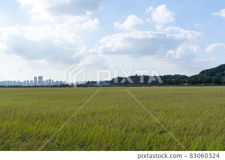 Hojobeol Siheung-si, Gyeonggi-do Hojobeol Siheung-si, Gyeonggi-do 83060324