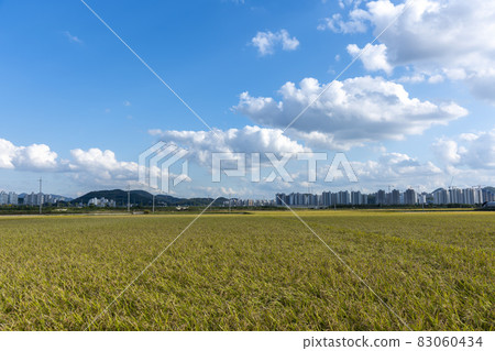 Hojobeol Siheung-si, Gyeonggi-do Hojobeol Siheung-si, Gyeonggi-do 83060434