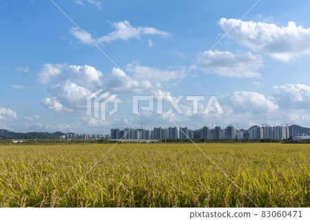 Hojobeol Siheung-si, Gyeonggi-do Hojobeol Siheung-si, Gyeonggi-do 83060471