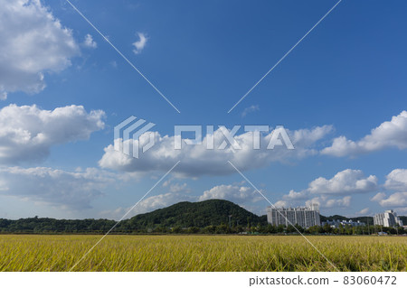 Hojobeol Siheung-si, Gyeonggi-do Hojobeol Siheung-si, Gyeonggi-do 83060472