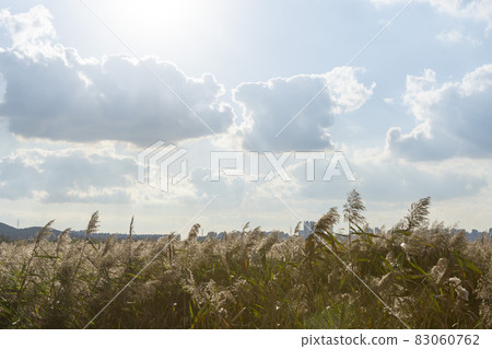 Hojobeol Siheung-si, Gyeonggi-do 83060762