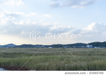 京畿道始興市厚和市 83060780