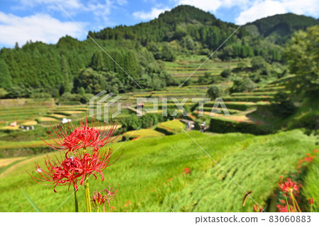 Mr. Tanada and Higanbana 83060883