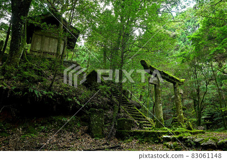 青苔神社“鳥居與神社” 83061148