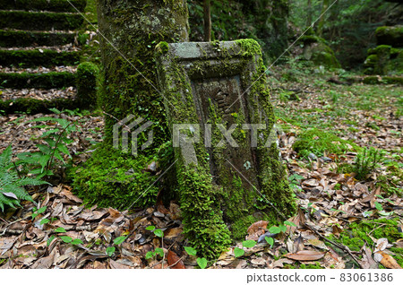 Mossy Kotai Jingu“從鳥居門掉下來的Biane” 83061386