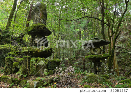 青苔天皇大神社“轄區忠義紀念碑” 青苔天皇大神社“轄區忠義紀念碑” 83061387