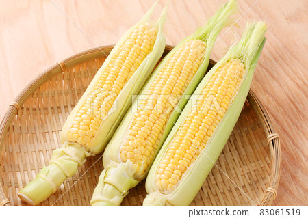 Corn 83061519