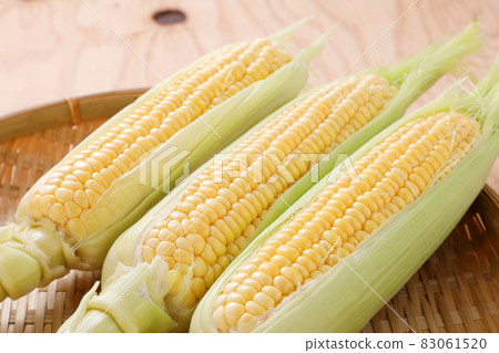 Corn 83061520