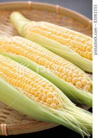 玉米 玉米 83061555