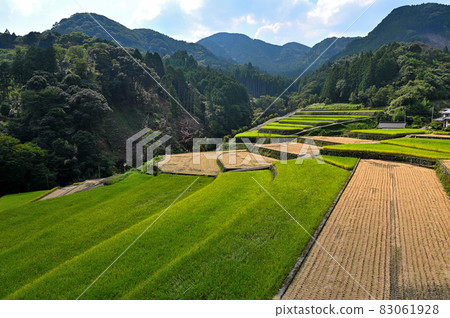 Takeki區的水稻露台 83061928