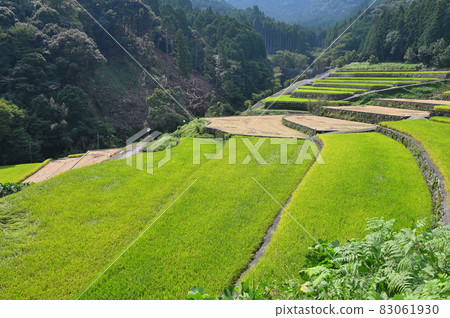 Rice terrace in Takeki district 83061930