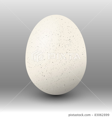 White realistic egg over dark background. Vector EPS10 illustration. White realistic egg over dark background. Vector EPS10 illustration. 83062899