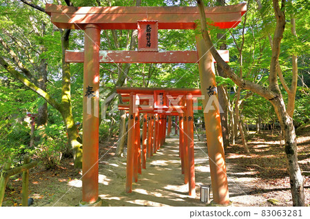 Kamado Shrine "Setsu-sha / Shikibe Inari-sha" 83063281