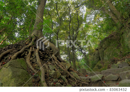 霍曼登山“前山步道” 霍曼登山“前山步道” 83063432