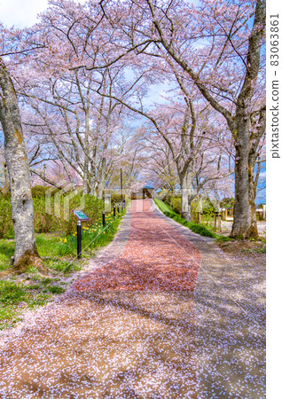Funaoka Castle Ruins Park Road to Funaoka Heiwa Kannon (Shibata Town, Miyagi Prefecture) Funaoka Castle Ruins Park Road to Funaoka Heiwa Kannon (Shibata Town, Miyagi Prefecture) 83063861
