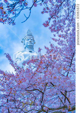 Funaoka Castle Ruins Park Funaoka Heiwa Kannon and Sakura (Shibata Town, Miyagi Prefecture) 83063872