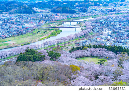 Sakura and Shiroishi River seen from the summit of Funaoka Castle Ruins Park (Shibata Town, Miyagi Prefecture) Sakura and Shiroishi River seen from the summit of Funaoka Castle Ruins Park (Shibata Town, Miyagi Prefecture) 83063881