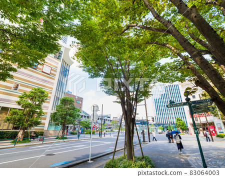 Kawasaki City Musashikosugi Station Kawasaki City Musashikosugi Station 83064003