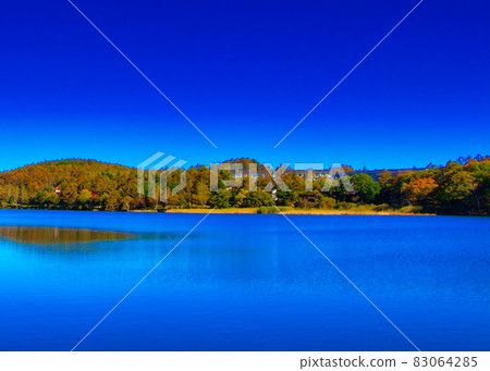 Tateshina / Megami Lake, autumn leaves on the shore of the lake, Japan 83064285