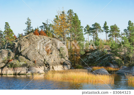Trees on the cliffs of Lake Ladoga at autumn evening. Republic of Karelia. 83064323