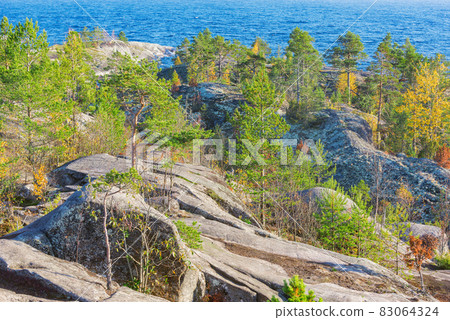 Trees on the cliffs of Lake Ladoga at autumn evening. Republic of Karelia. 83064324