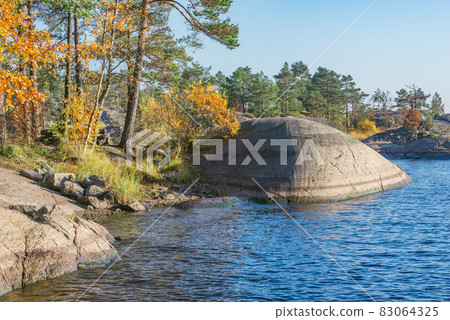 Trees on the cliffs of Lake Ladoga at autumn evening. Republic of Karelia. 83064325