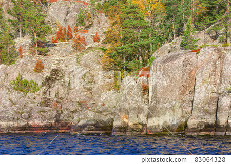 Trees on the cliffs of Lake Ladoga at autumn evening. Trees on the cliffs of Lake Ladoga at autumn evening. 83064328