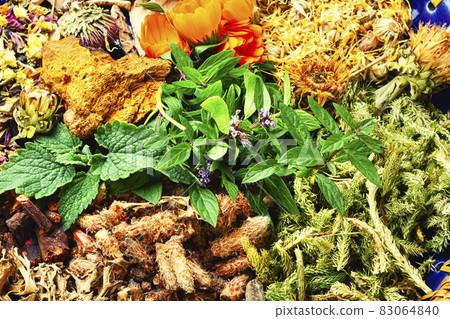 Medicinal plants in medicine 83064840