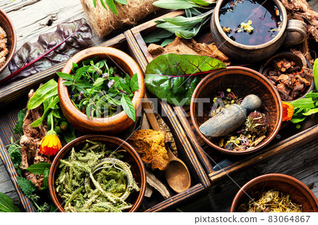Healing herbs,herbal medicine Healing herbs,herbal medicine 83064867