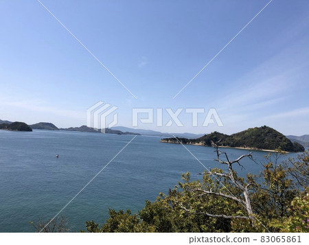 《Rabbit Island (Okunoshima) Scenery of the floating sea, trees and blue sky》 (Takehara City, Hiroshima Prefecture) 《Rabbit Island (Okunoshima) Scenery of the floating sea, trees and blue sky》 (Takehara City, Hiroshima Prefecture) 83065861