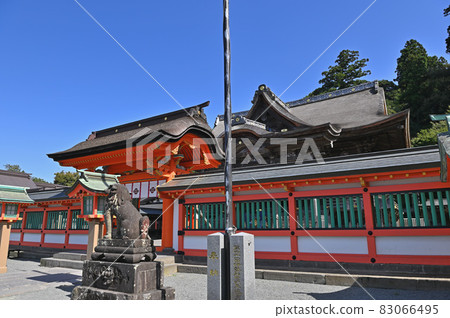 甲羅大社 83066495