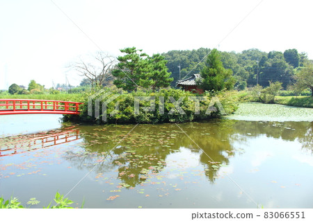 Pond without ringing Pond without ringing 83066551