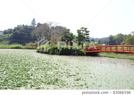 東松山響塘 83066596