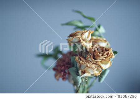 Yellow roses on the windowsill and dried carnation flowers 83067286