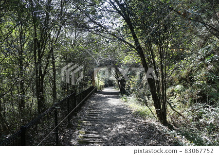 秋日在JR福知山線的廢棄鐵路線上徒步旅行 83067752
