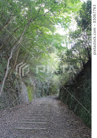 秋日在JR福知山線的廢棄鐵路線上徒步旅行 83067763