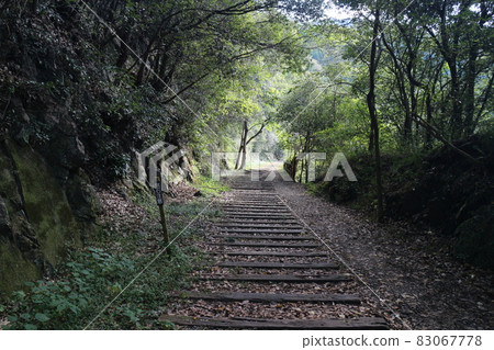 Hiking on the abandoned railway line of the JR Fukuchiyama Line on an autumn day 83067778
