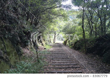 Hiking on the abandoned railway line of the JR Fukuchiyama Line on an autumn day 83067779