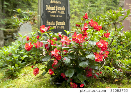 Old cemetery of Wrede family. 4 September 2018 - Anjala, Kouvola, Finland. Old cemetery of Wrede family. 4 September 2018 - Anjala, Kouvola, Finland. 83068763