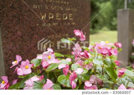 Old cemetery of Wrede family. 4 September 2018 - Anjala, Kouvola, Finland. Old cemetery of Wrede family. 4 September 2018 - Anjala, Kouvola, Finland. 83068807