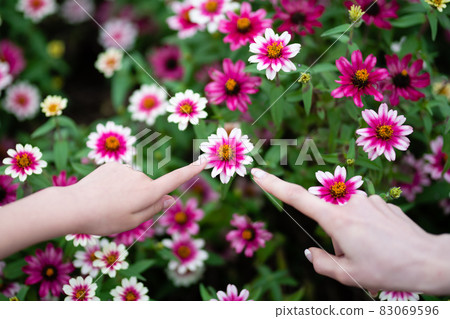 親子手指著花壇裡的花 親子手指著花壇裡的花 83069596